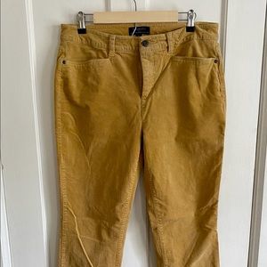 Talbot’s Corduroy 5 Pocket Pants Gold Size 12